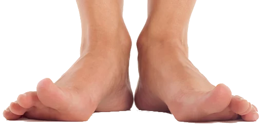 👣 Стикер «Happy feet» для Telegram