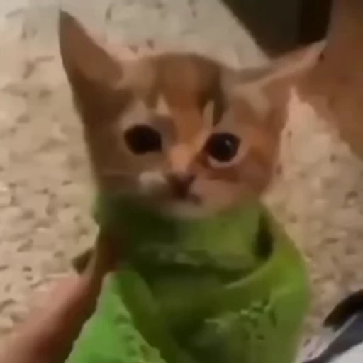 🥰 Стикер «Happy» для Telegram