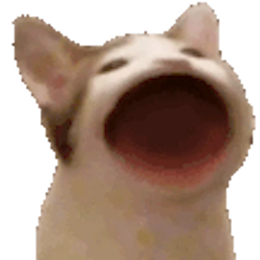 🥰 Стикер «Happy» для Telegram