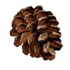 Стикер 53 Emoji На Заказ