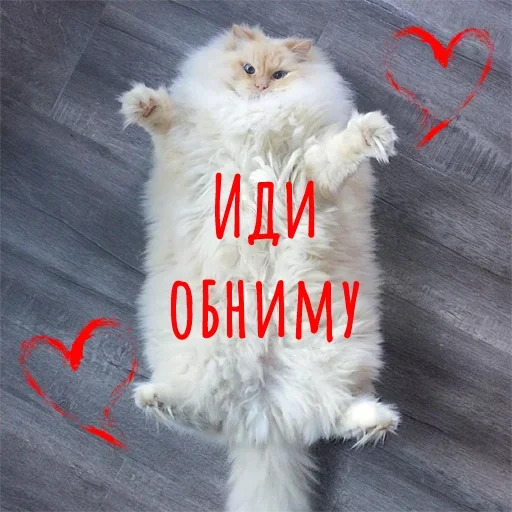 🤗 Стикер «Гармония Счастье» для Telegram
