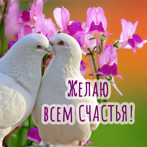🥰 Стикер «Гармония Счастье» для Telegram
