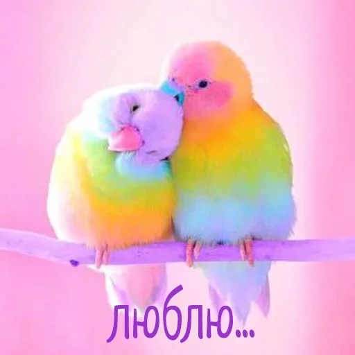 💗 Стикер «Гармония Счастье» для Telegram