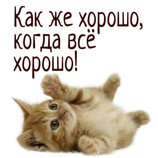 ❤️ Стикер «Гармония Счастье» для Telegram