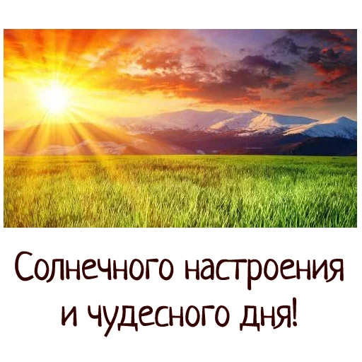 🌞 Стикер «Гармония Счастье» для Telegram