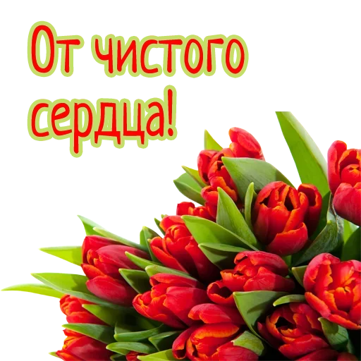 🌹 Стикер «Гармония Счастье» для Telegram