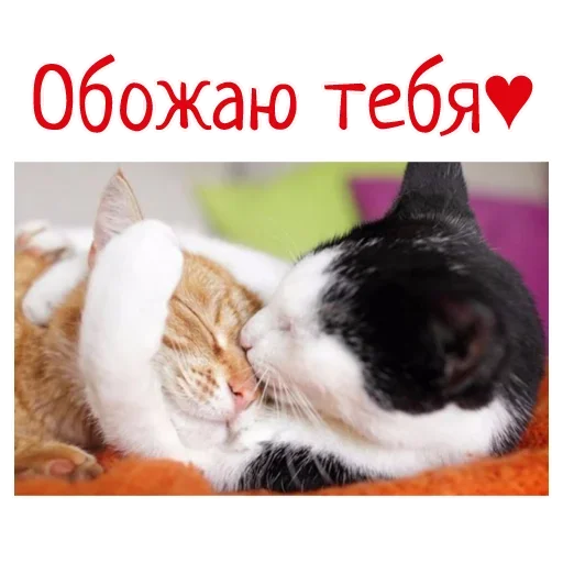 ❤️ Стикер «Гармония Счастье» для Telegram