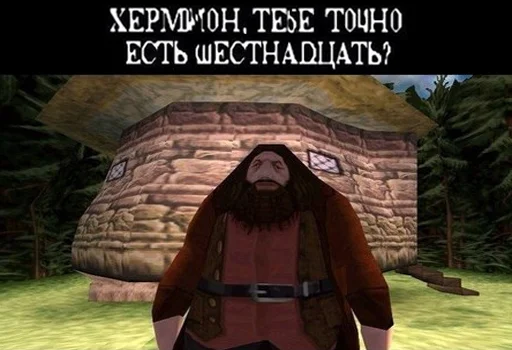 😏 Стикер «Гарри Поттер Перевод» для Telegram