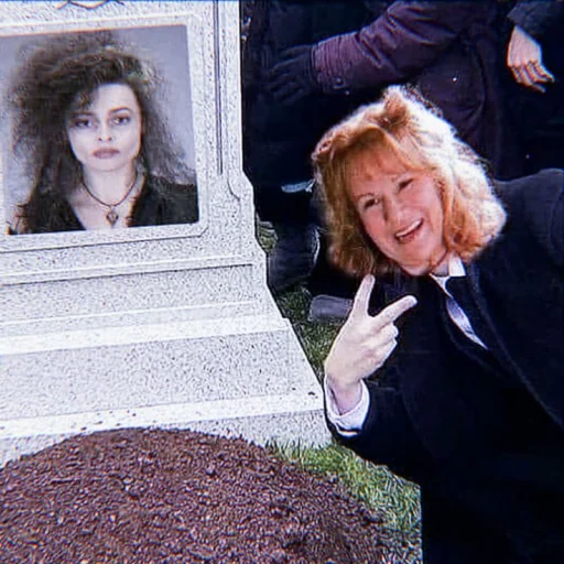 🌱 Стикер «ˎˊ Harry potter Memes» для Telegram
