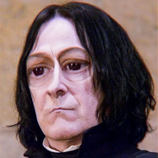 🌱 Стикер «ˎˊ Harry potter Memes» для Telegram