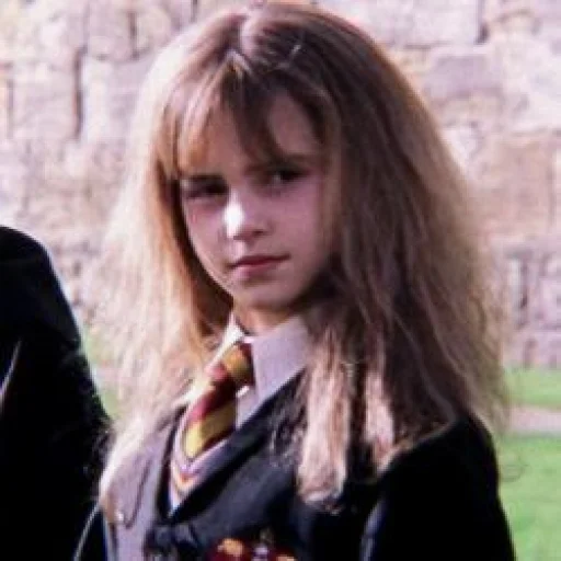 ☘️ Стикер «ˎˊ Harry potter Memes» для Telegram