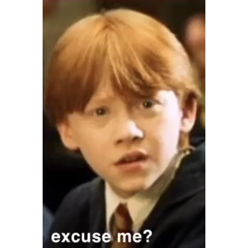 🤨 Стикер «Harry Potter Гарри Поттер» для Telegram