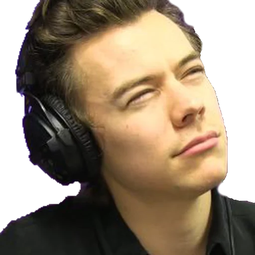 🤔 Стикер «Harry Styles» для Telegram