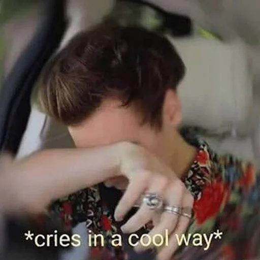 😭 Стикер «Harry Styles» для Telegram