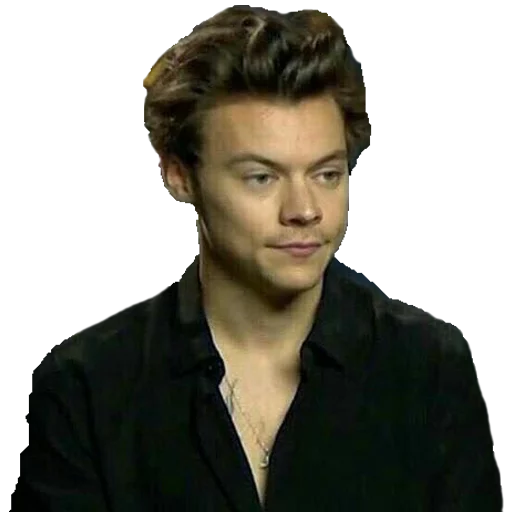 🙂 Стикер «Harry Styles» для Telegram