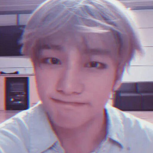 🦙 Стикер «THE KPOP» для Telegram