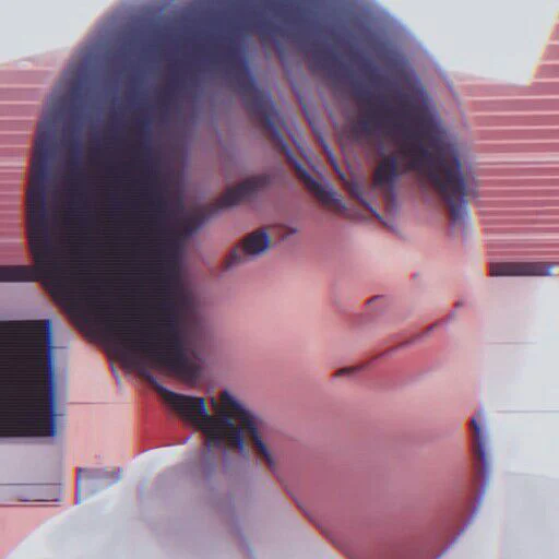 🦙 Стикер «THE KPOP» для Telegram