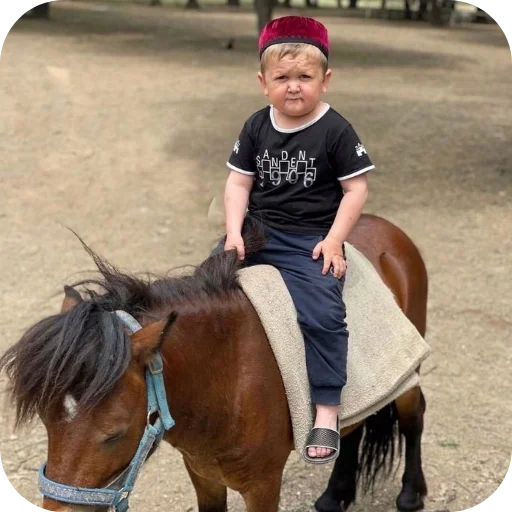 🐎 Стикер «Hasbik» для Telegram