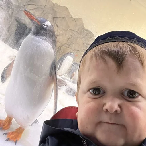 ❤️ Стикер «HasbulaHushetskiy» для Telegram