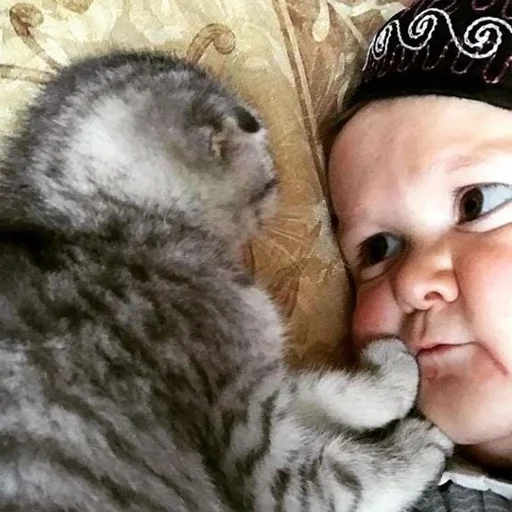❤️ Стикер «HasbulaHushetskiy» для Telegram