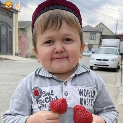 🍓 Стикер «HasbulaHushetskiy» для Telegram