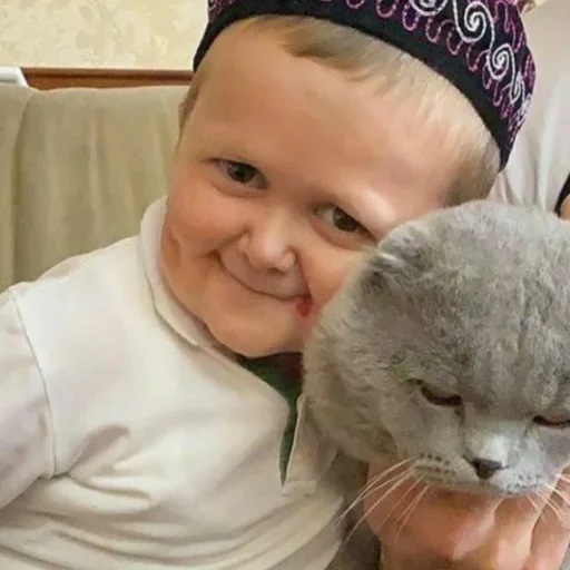 🐱 Стикер «Хасбуля» для Telegram