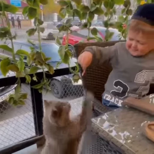 🐈‍⬛ Стикер «Хасбик» для Telegram