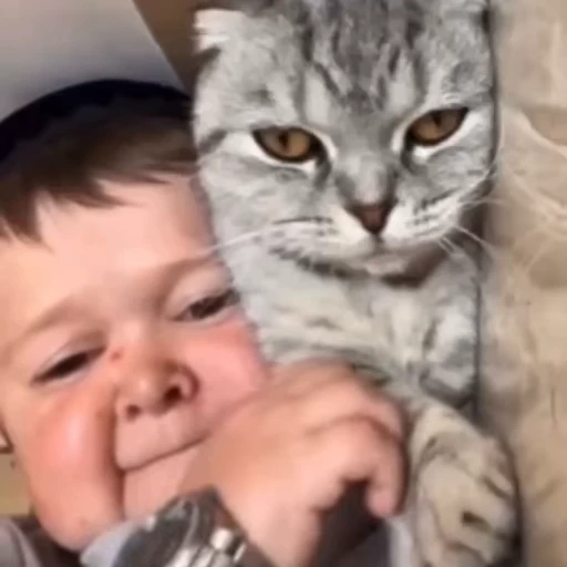 🐈‍⬛ Стикер «Хасбик» для Telegram