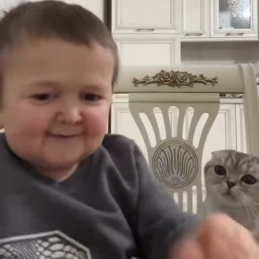 🐱 Стикер «Хасбик» для Telegram