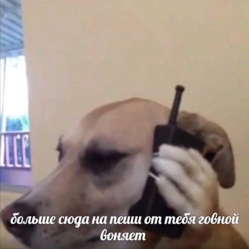 🖐 Стикер «ГАЯНКЕРЫ» для Telegram
