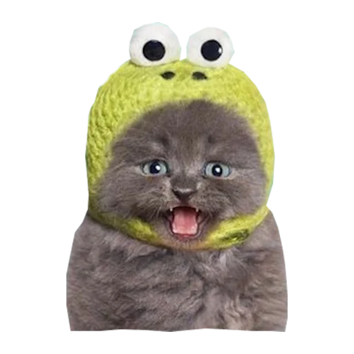 😀 Стикер «Cats in hats» для Telegram