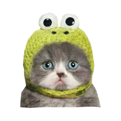 😔 Стикер «Cats in hats» для Telegram