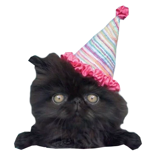 🎉 Стикер «Cats in hats» для Telegram