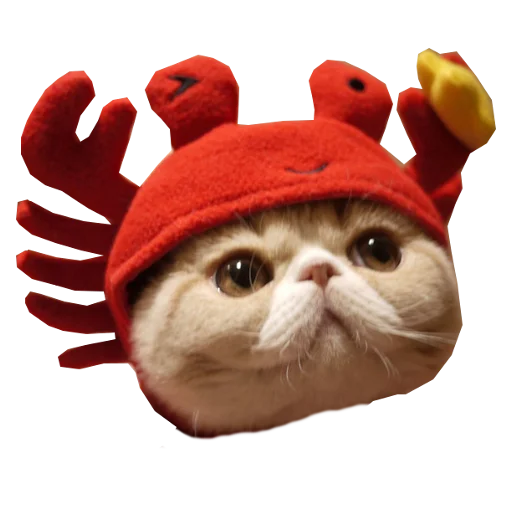 🦀 Стикер «Cats in hats» для Telegram
