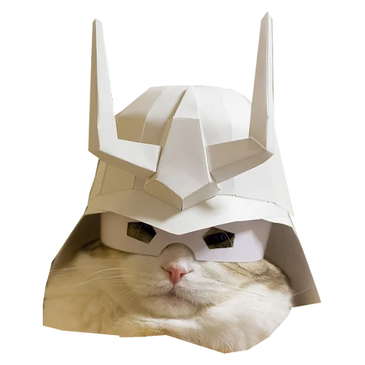 😎 Стикер «Cats in hats» для Telegram