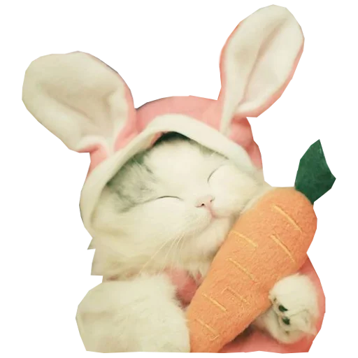 😴 Стикер «Cats in hats» для Telegram