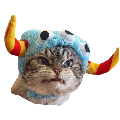 👾 Стикер «Cats in hats» для Telegram