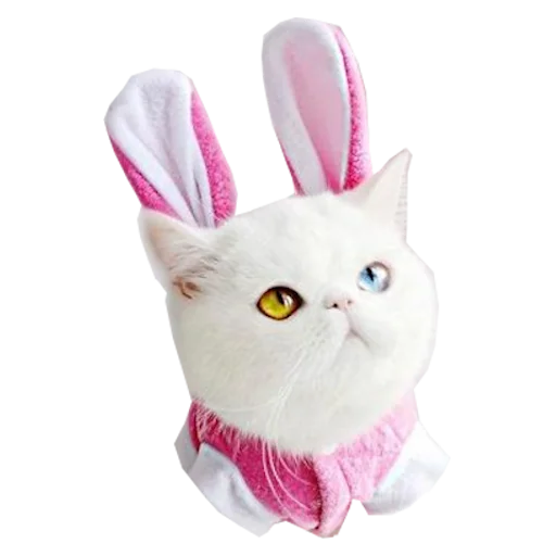 ❔ Стикер «Cats in hats» для Telegram