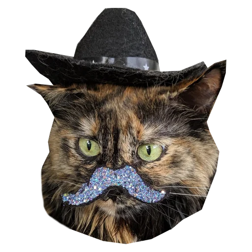 ✨ Стикер «Cats in hats» для Telegram