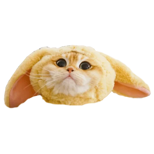 🤨 Стикер «Cats in hats» для Telegram