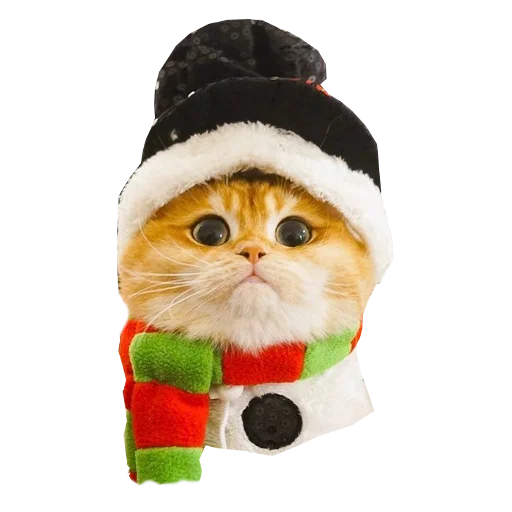 🎄 Стикер «Cats in hats» для Telegram