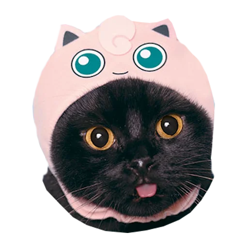 🐈 Стикер «Cats in hats» для Telegram