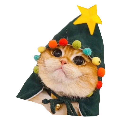 ⭐ Стикер «Cats in hats» для Telegram