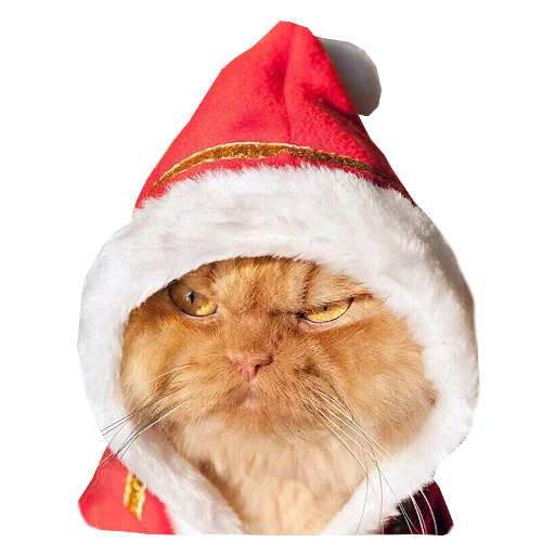 🎄 Стикер «Cats in hats» для Telegram