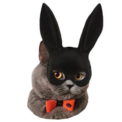 😎 Стикер «Cats in hats» для Telegram