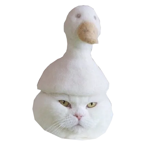🦆 Стикер «Cats in hats» для Telegram