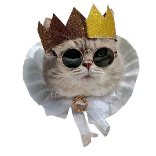 😎 Стикер «Cats in hats» для Telegram