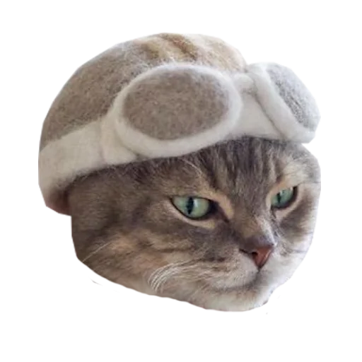 🛫 Стикер «Cats in hats» для Telegram