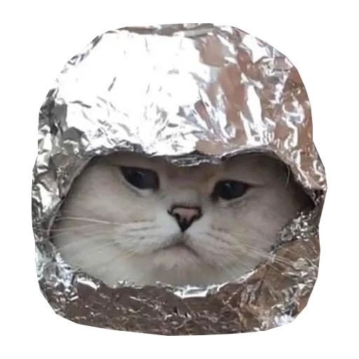🚀 Стикер «Cats in hats» для Telegram