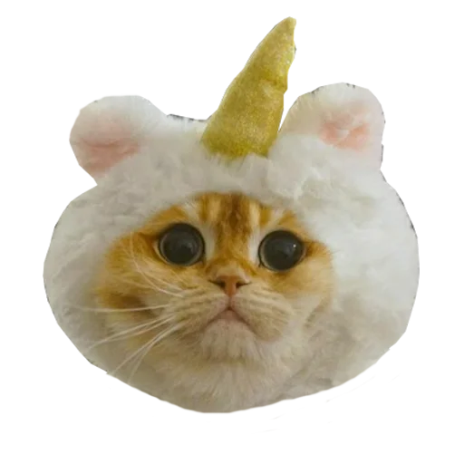🦄 Стикер «Cats in hats» для Telegram